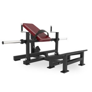 BRTW DZ30 Hip Glute