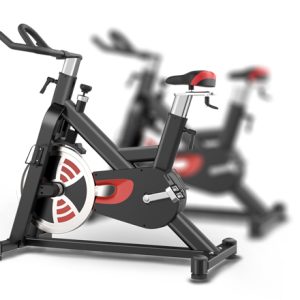 BRTW XB-07Felt friction spining bike