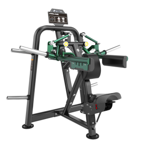 BL04-LATERAL RAISE