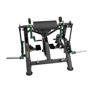 BL06 TRICEPS EXTENSION