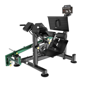 BL33 DUAL 45 HIP EXTENSION
