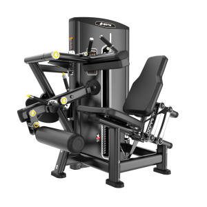 BF12 SEATED LEG CURL