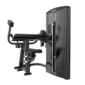 BF31 BICEP/TRICEP