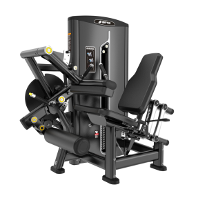 BF33 LEG CURL/ EXTENSION