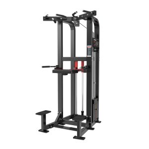 BRTW HS11 Dip/Chin Assist