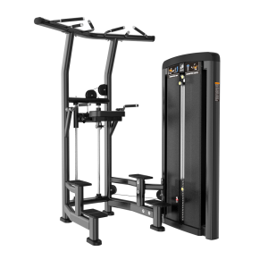 BRTW BH10 Ddip/Chin Assist