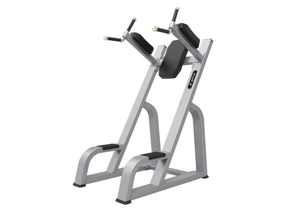 Brtw Rowing Machine BRTW TB47 Vertical Kness Up/Dip – Fitness Inside