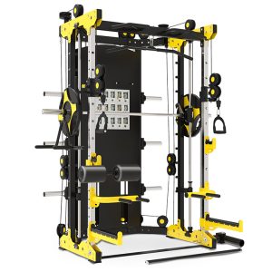 BRTW TS100 Multi functional smith trainer